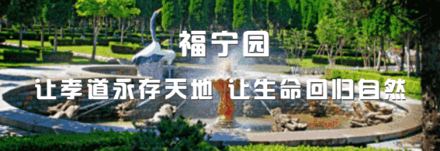 1626134795198622.gif 640.gif