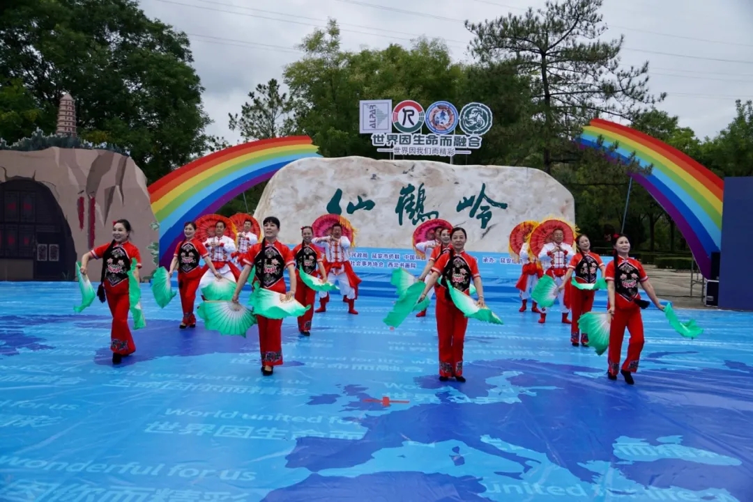 1634086776203927.jpg 640.webp (10).jpg