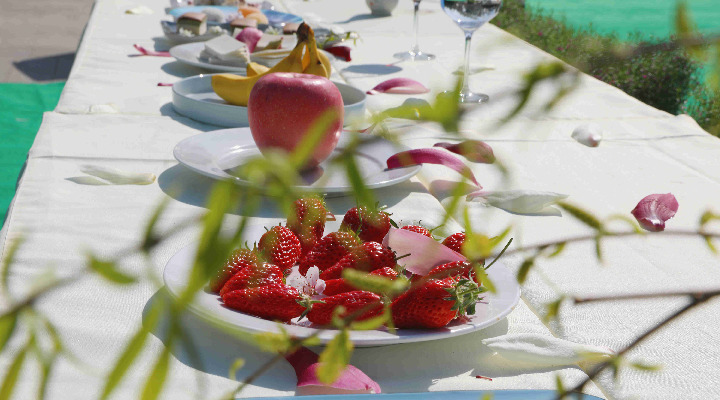 1648798998544030.jpg PF5A1357.JPG