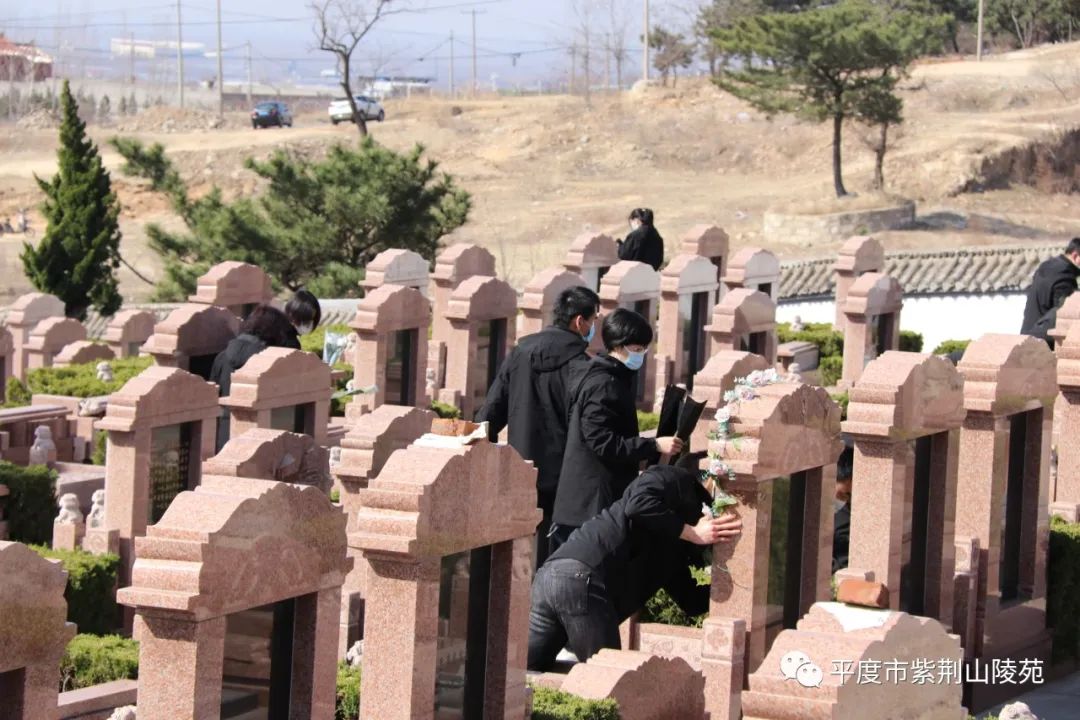 1648870346199333.jpg 640 (6).jpg