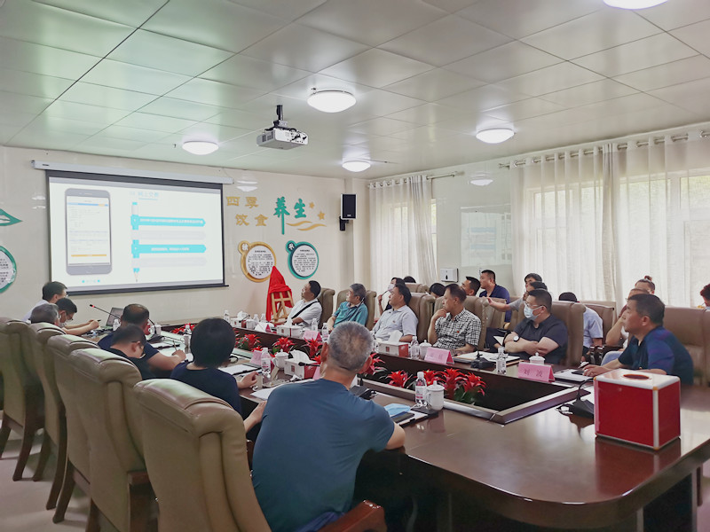 1656553374783204.jpg 3.jpg