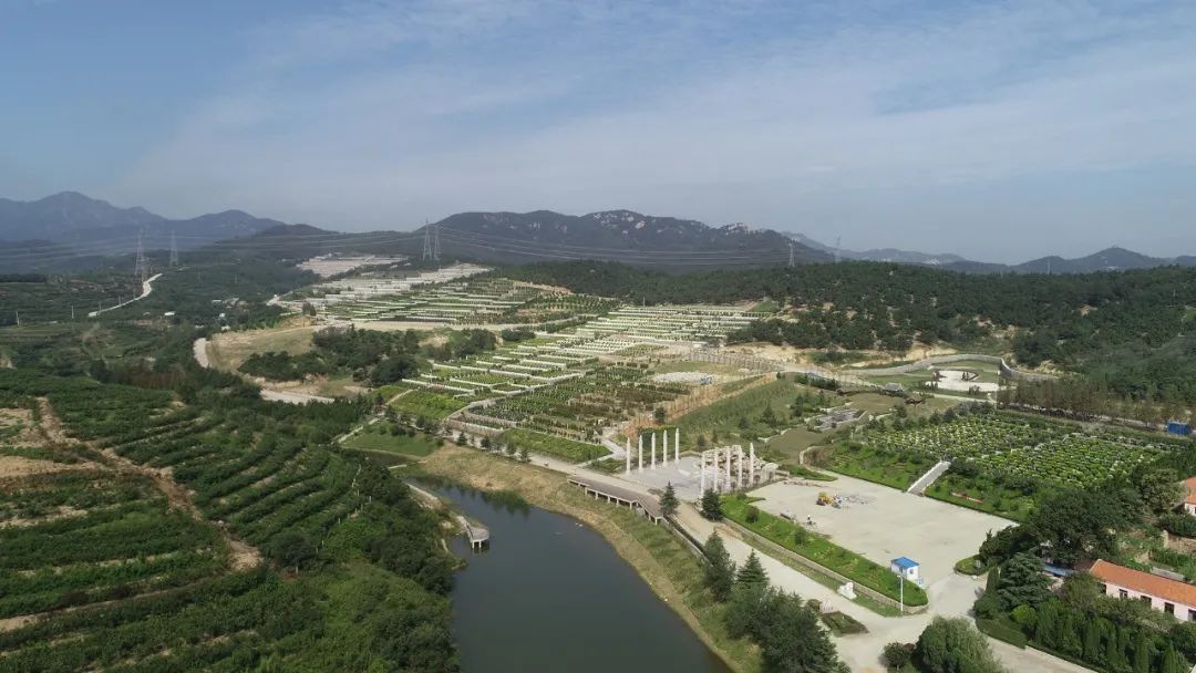 1660328169339285.jpg 1.jpg